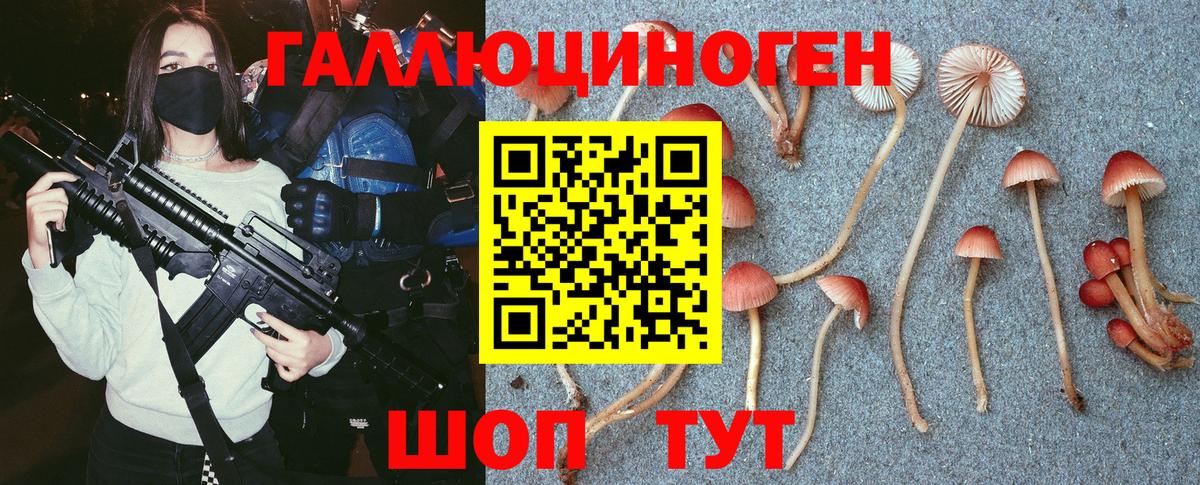 Галлюциногенные грибы ЛСД Красный Сулин